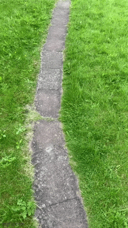 Acid GIFs, July 28 (25 gifs)