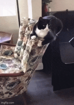 Acid GIFs, July 28 (25 gifs)