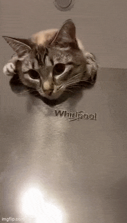Acid GIFs, July 28 (25 gifs)
