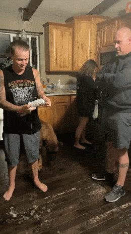 Acid GIFs, July 28 (25 gifs)