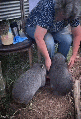 Acid GIFs, July 28 (25 gifs)