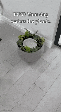 Acid GIFs, July 28 (25 gifs)