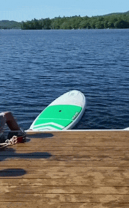 Acid GIFs, July 28 (25 gifs)