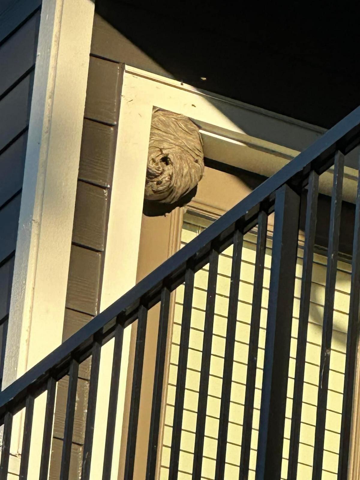 Bad Days Happen (23 pics)