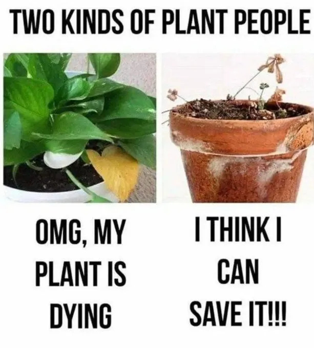 Funny Memes (21 pics)