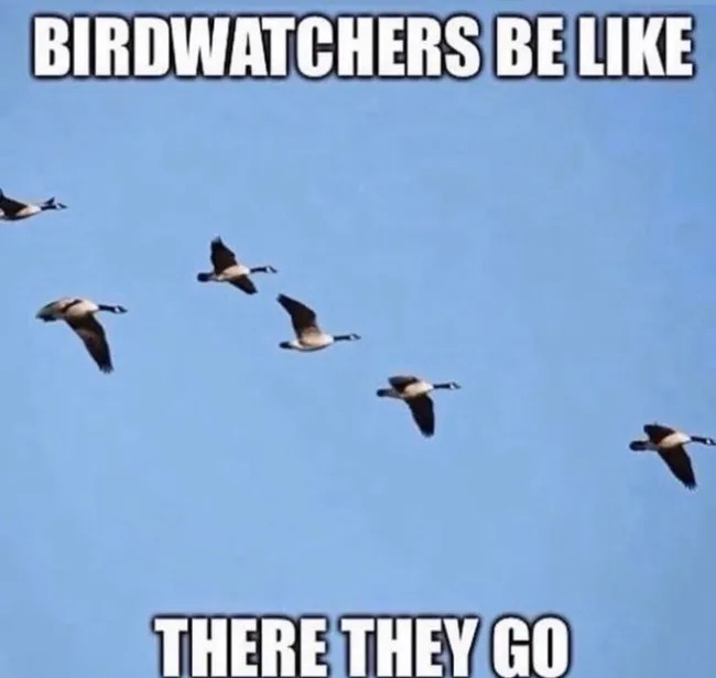 Funny Memes (21 pics)