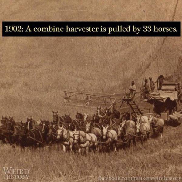 Historical Photos (17 pics)