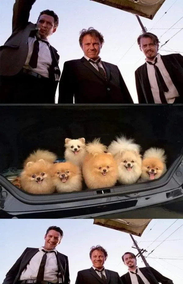 Movie Memes (18 pics)