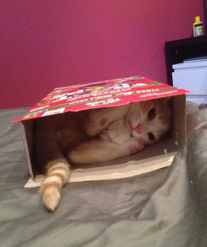 They Need Your Food (23 pics)