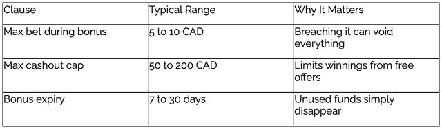 Reading the Fine Print: Bonus Terms Canadian Casino Players Often Miss
