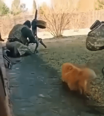 Acid GIFs, July 29 (25 gifs)
