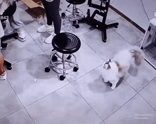 Acid GIFs, July 29 (25 gifs)