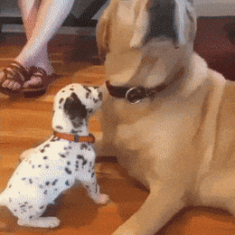 Acid GIFs, July 29 (25 gifs)