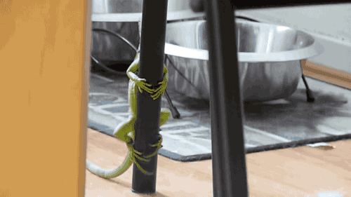 Acid GIFs, July 29 (25 gifs)