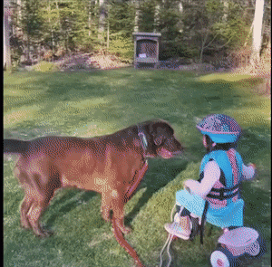 Acid GIFs, July 29 (25 gifs)