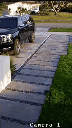 Acid GIFs, July 29 (25 gifs)