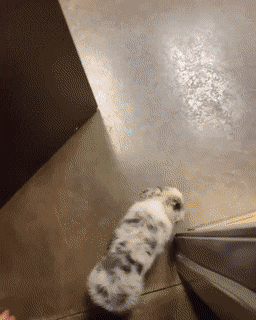 Acid GIFs, July 29 (25 gifs)