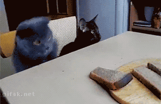 Acid GIFs, July 29 (25 gifs)
