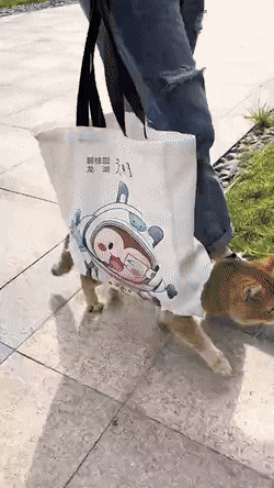 Acid GIFs, July 29 (25 gifs)