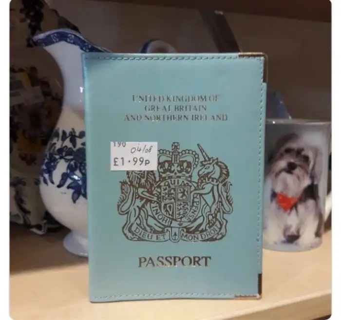 Strange Finds In Thrift Shops (21 pics)