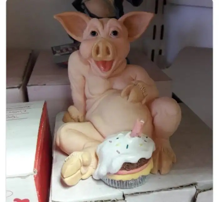 Strange Finds In Thrift Shops (21 pics)