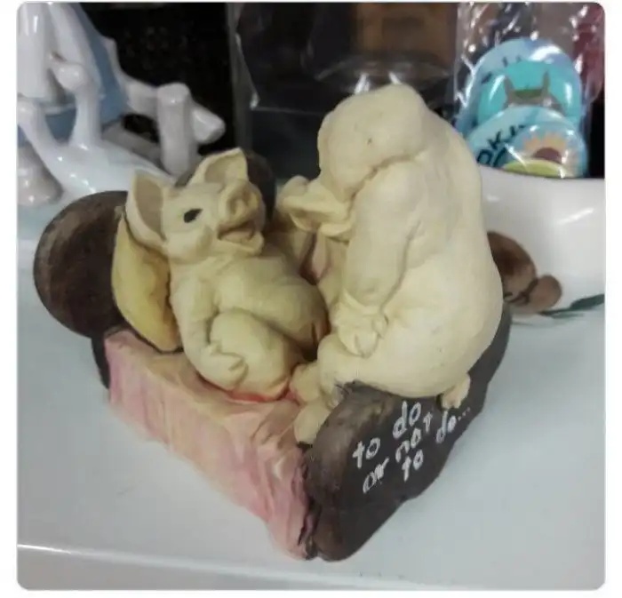Strange Finds In Thrift Shops (21 pics)