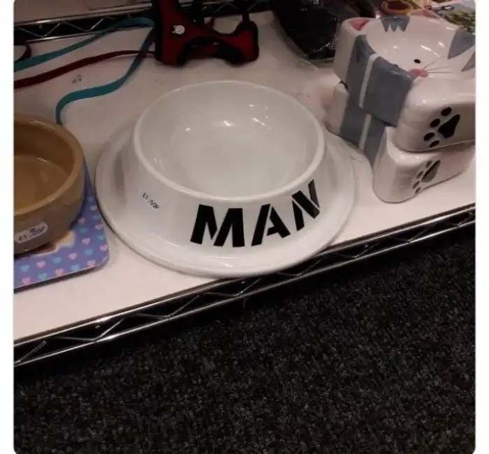Strange Finds In Thrift Shops (21 pics)