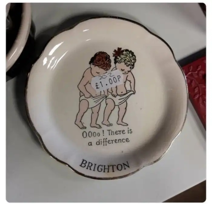 Strange Finds In Thrift Shops (21 pics)