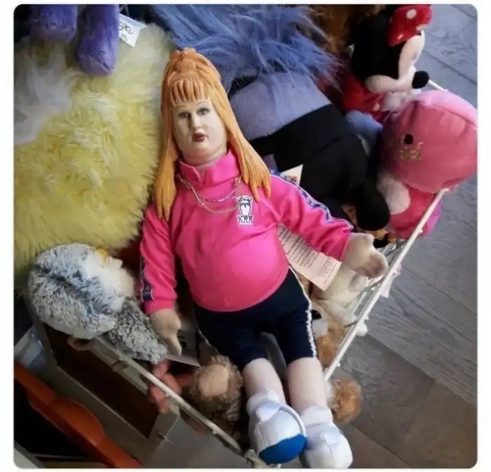Strange Finds In Thrift Shops (21 pics)