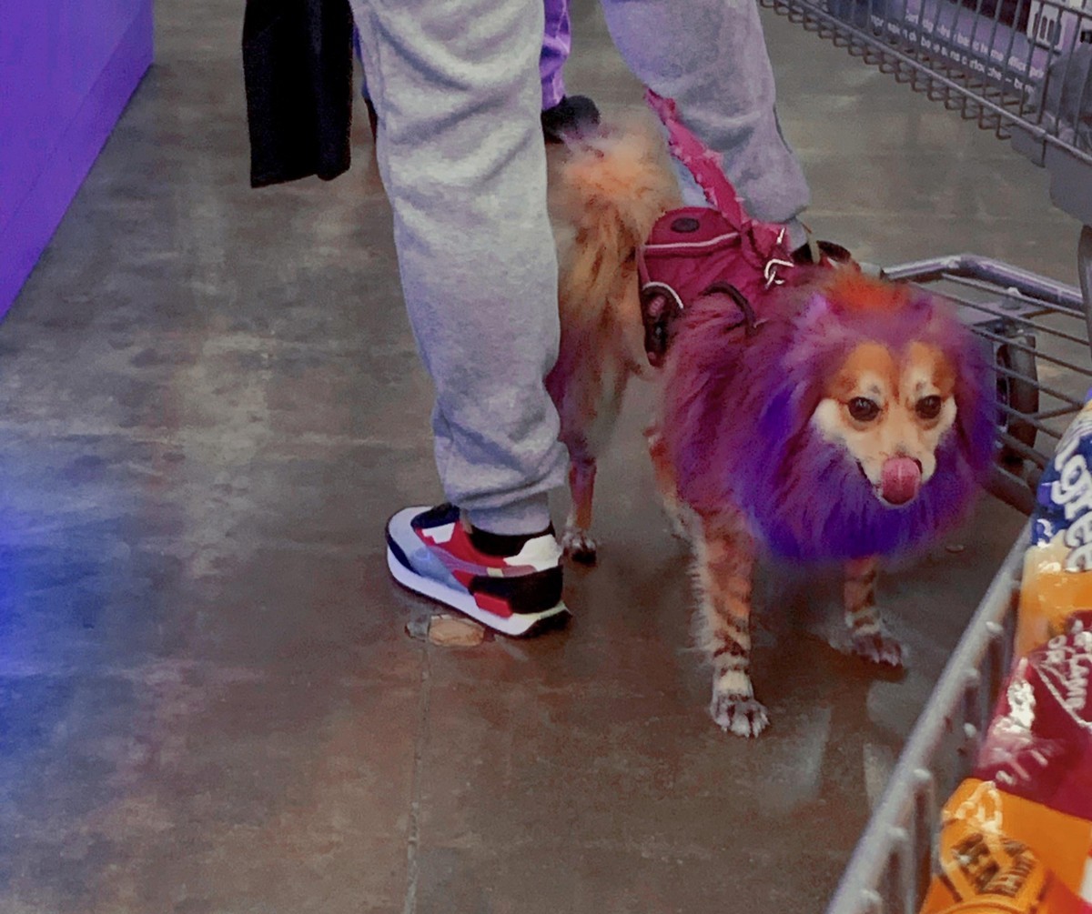 Terrible Customers (23 pics)