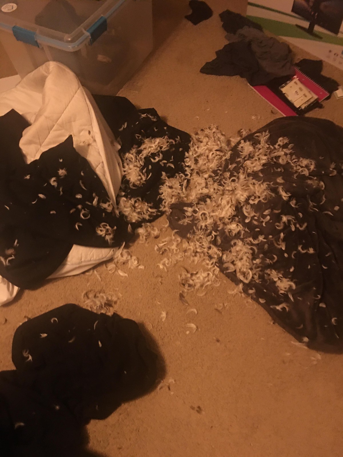 Bad Days Happen (25 pics)