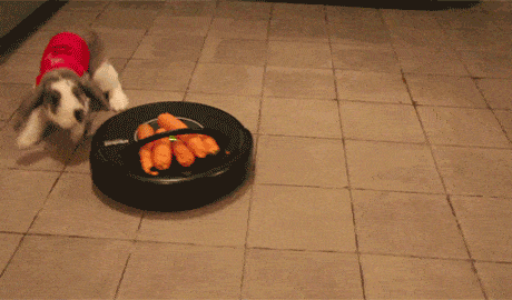 Acid GIFs, July 30 (25 gifs)