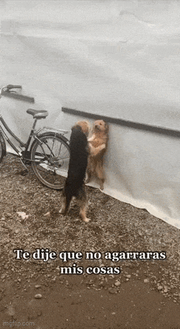 Acid GIFs, July 30 (25 gifs)