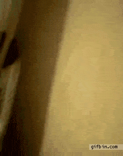 Acid GIFs, July 30 (25 gifs)