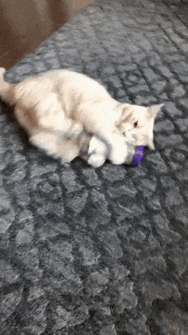 Acid GIFs, July 30 (25 gifs)