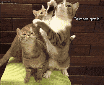 Acid GIFs, July 30 (25 gifs)