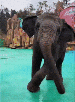 Acid GIFs, July 30 (25 gifs)