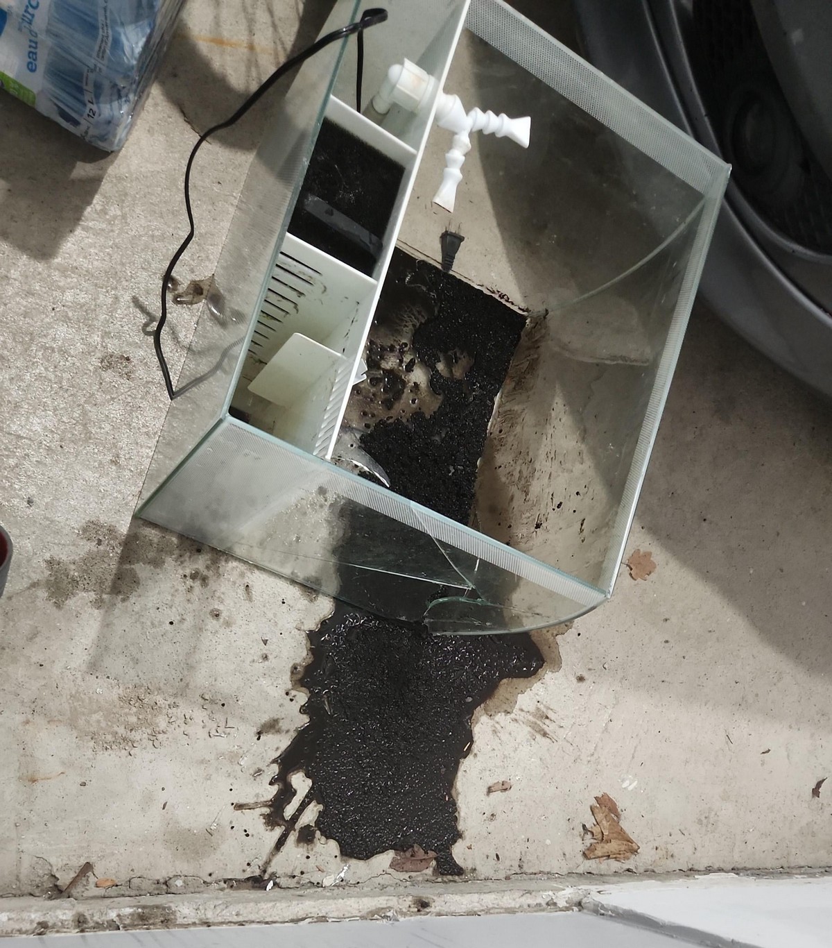 Bad Days Happen (25 pics)