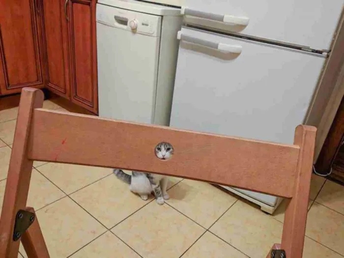 Perfect Matches (21 pics)