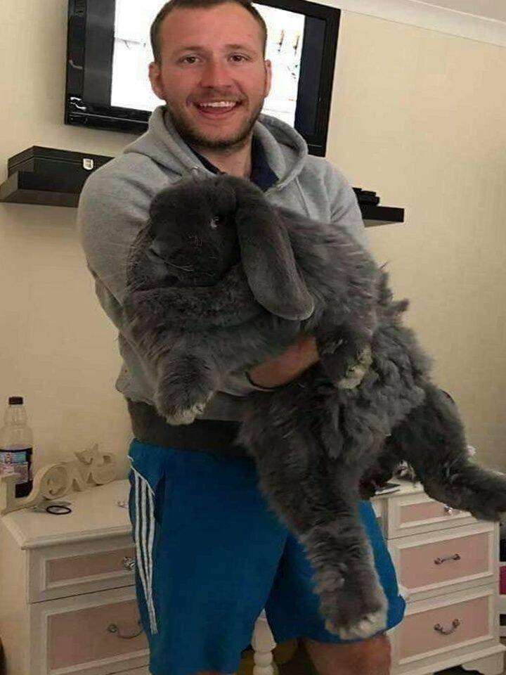 Daily Pictures. Part 1 (74 pics)
