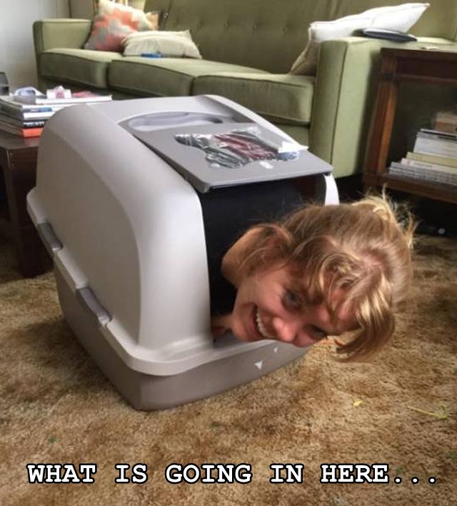 Daily Pictures. Part 2 (73 pics)
