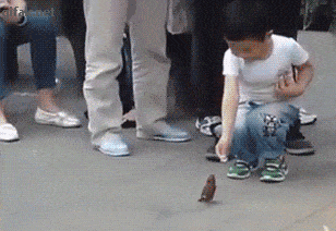 Acid GIFs, July 31 (25 gifs)