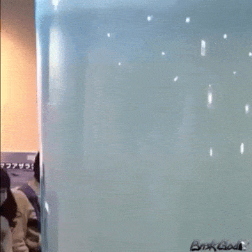 Acid GIFs, July 31 (25 gifs)
