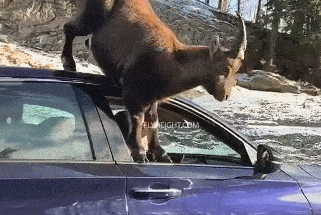 Acid GIFs, July 31 (25 gifs)