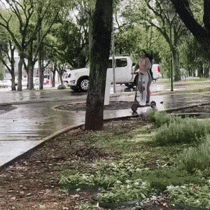 Acid GIFs, July 31 (25 gifs)