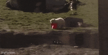 Acid GIFs, July 31 (25 gifs)