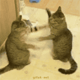 Acid GIFs, July 31 (25 gifs)