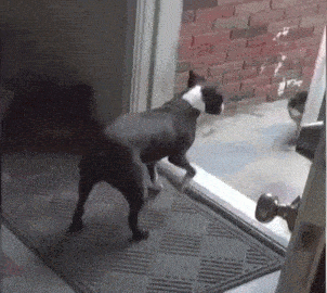 Acid GIFs, July 31 (25 gifs)
