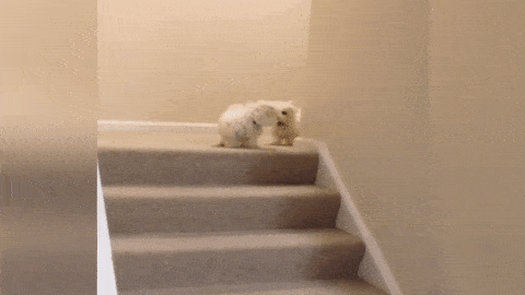 Acid GIFs, July 31 (25 gifs)
