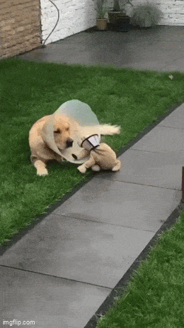 Acid GIFs, July 31 (25 gifs)